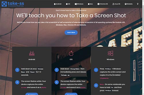 How To Take Screenshot Of Website webpage